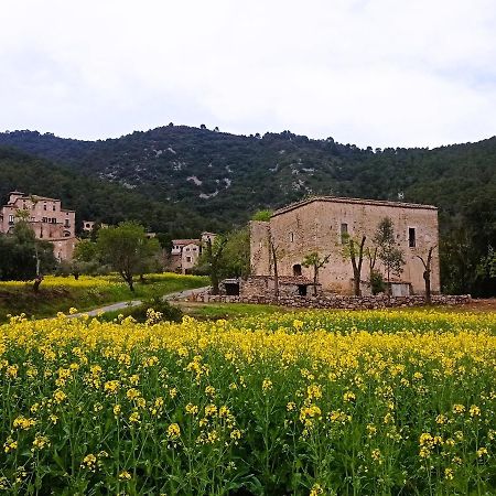 Beuda El Castell De Seguero 아파트 외부 사진