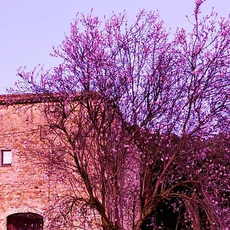 Beuda El Castell De Seguero 아파트 외부 사진