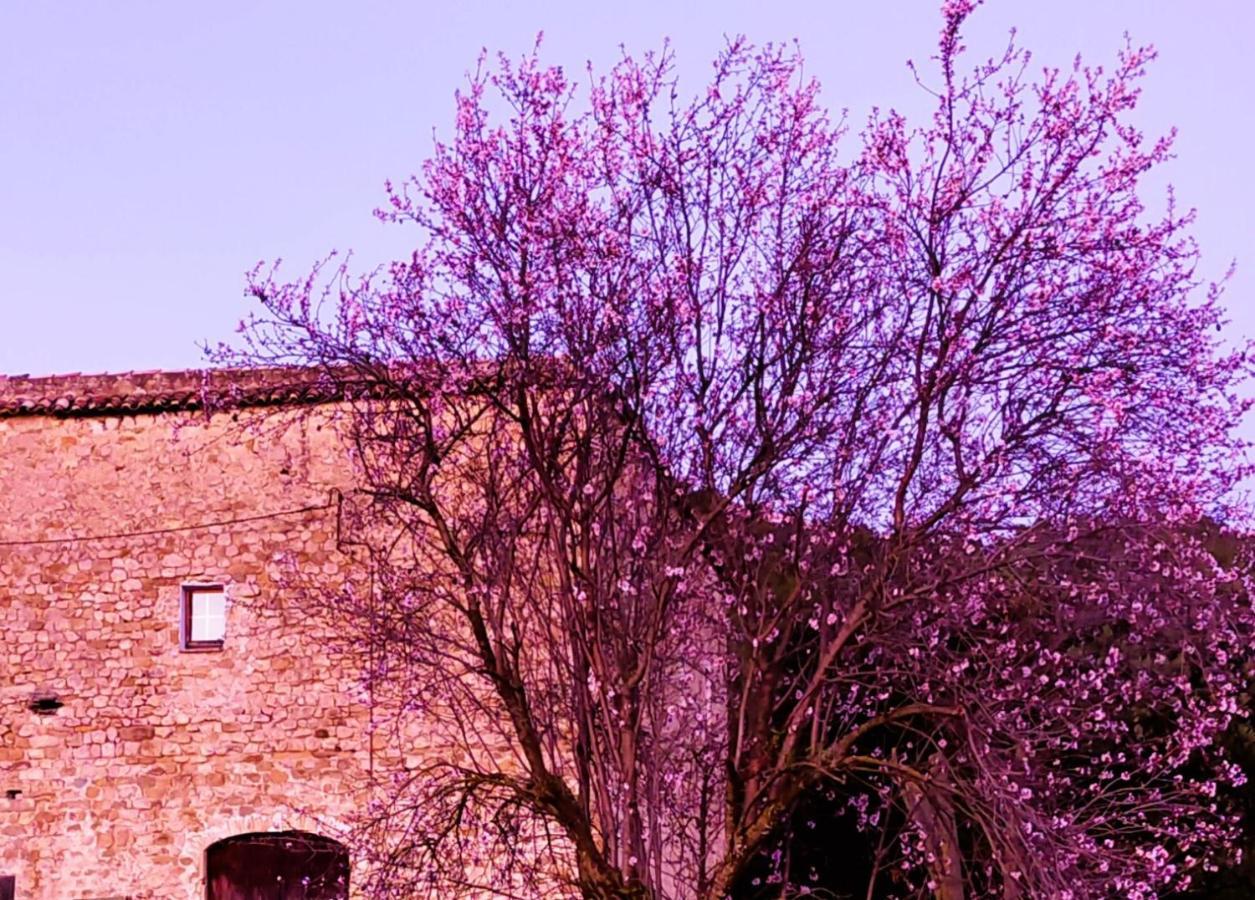 Beuda El Castell De Seguero 아파트 외부 사진