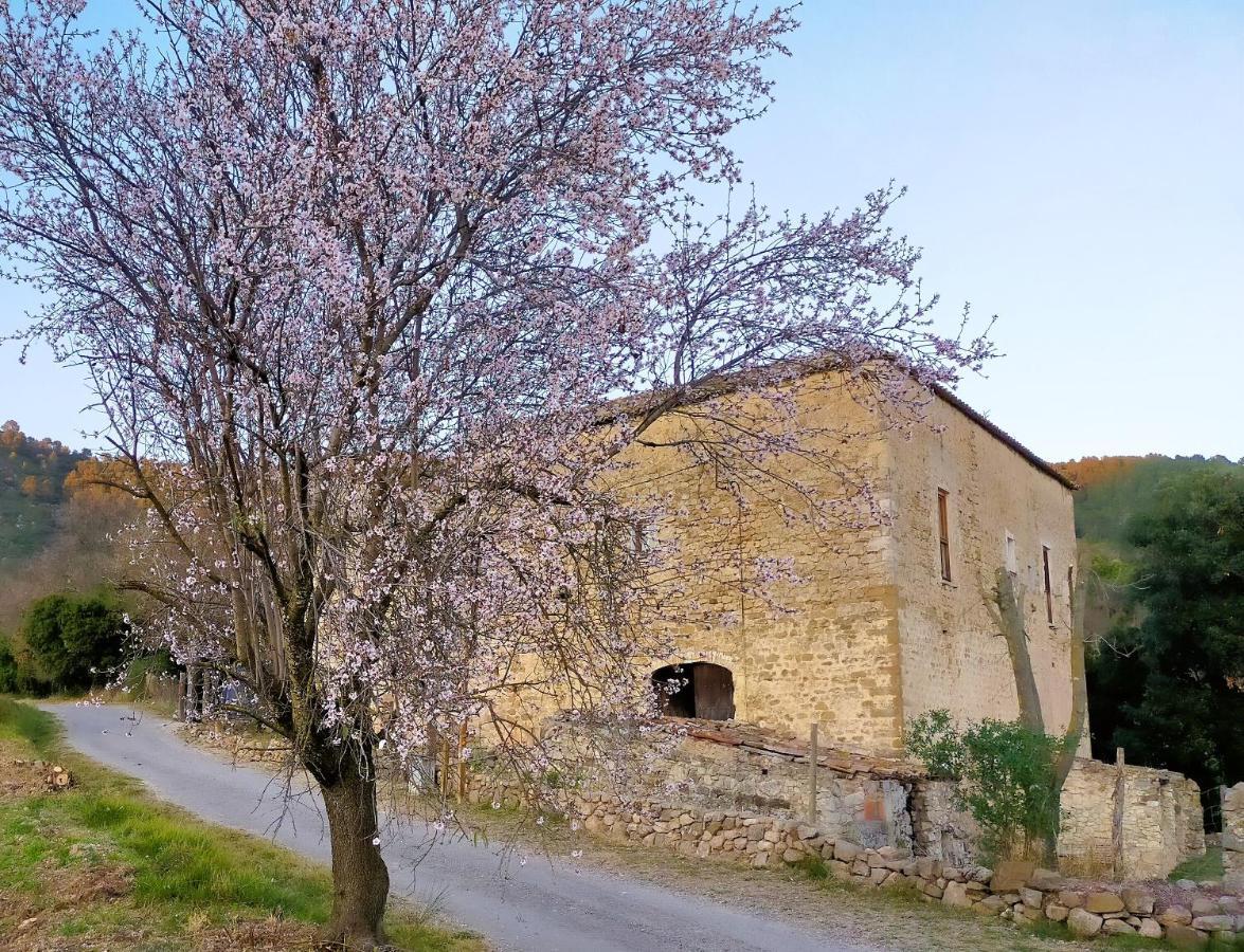 Beuda El Castell De Seguero 아파트 외부 사진